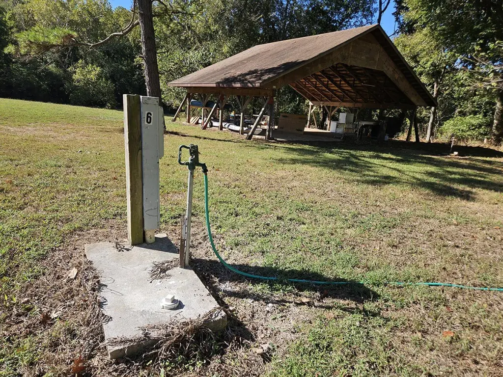 Picture 11