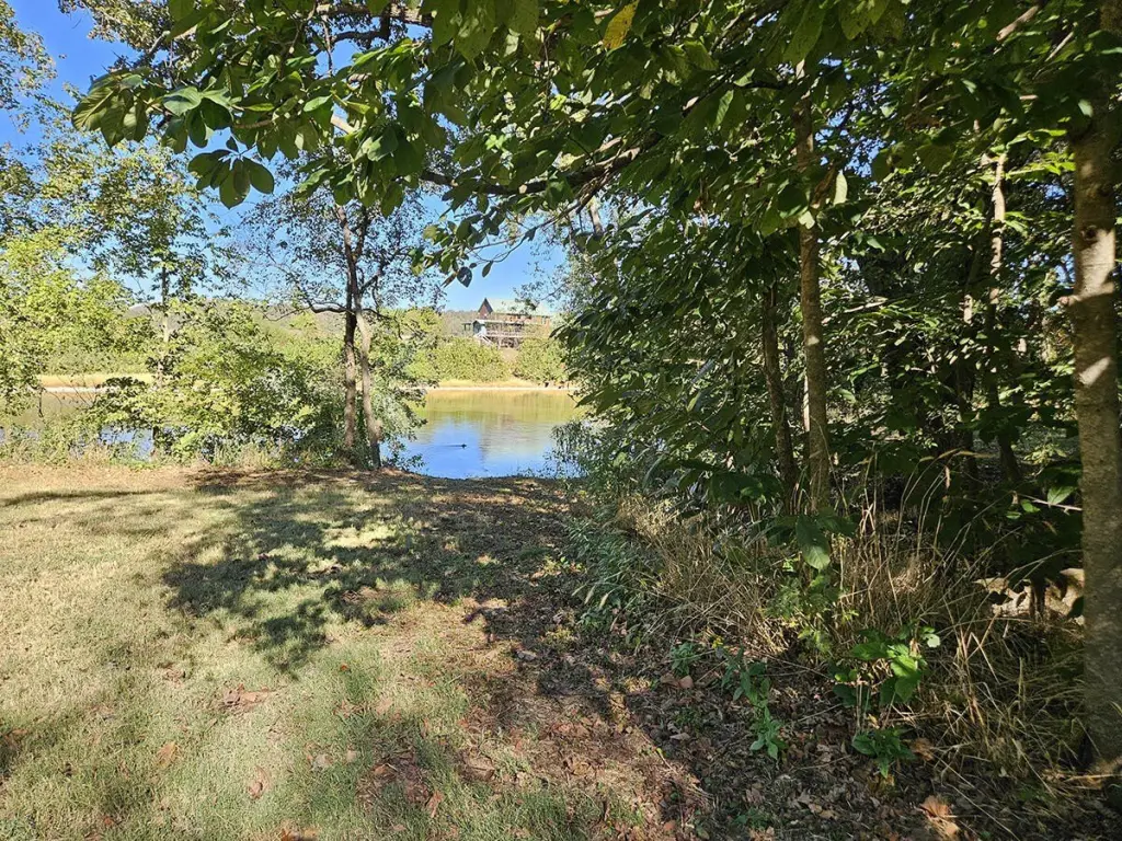 Picture 42
