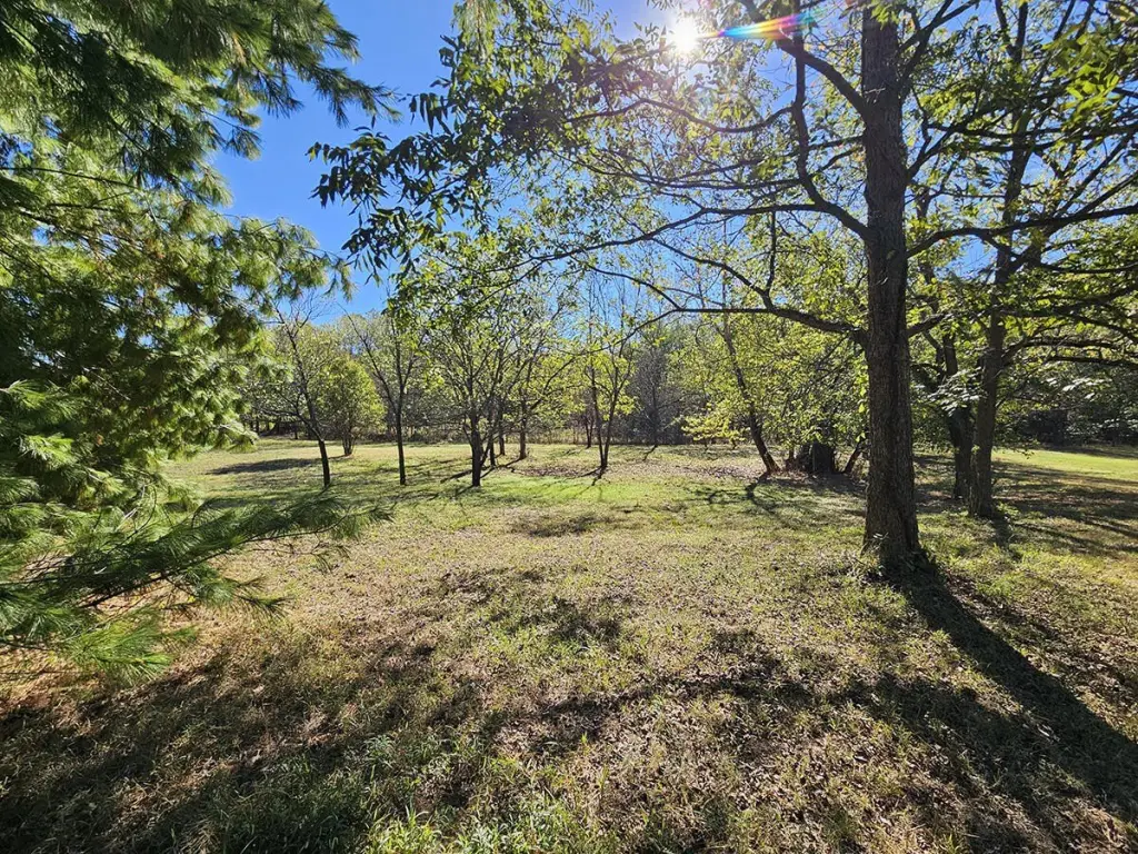 Picture 25
