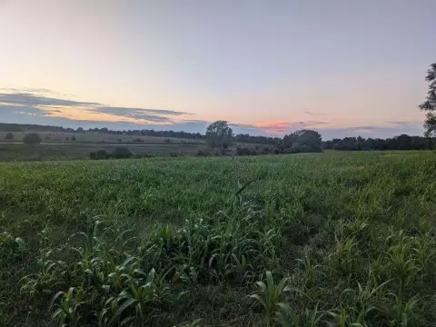 Agricultural Land at Highway Corner