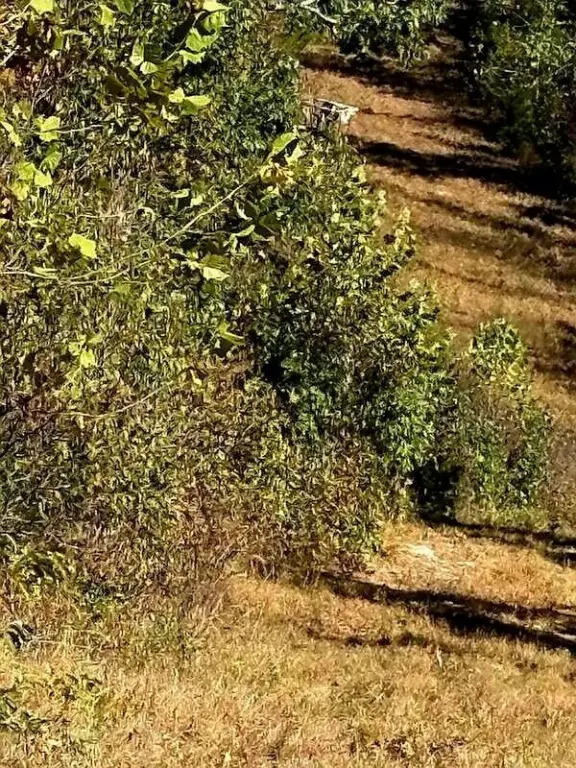 Picture 4