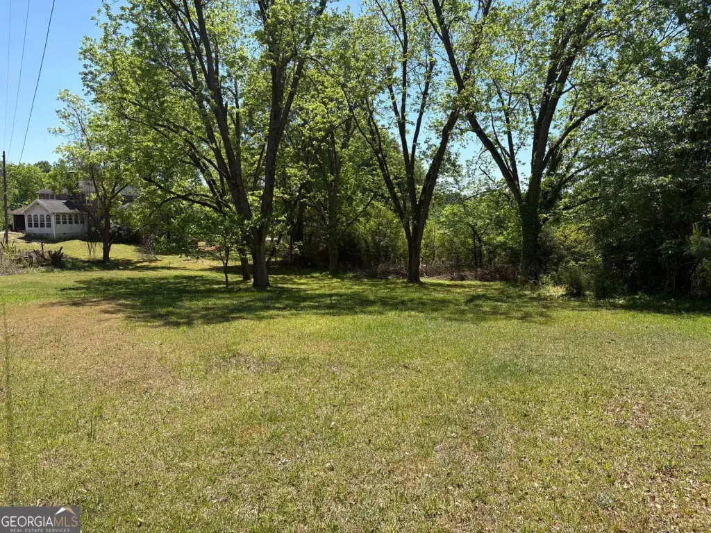 Picture 14