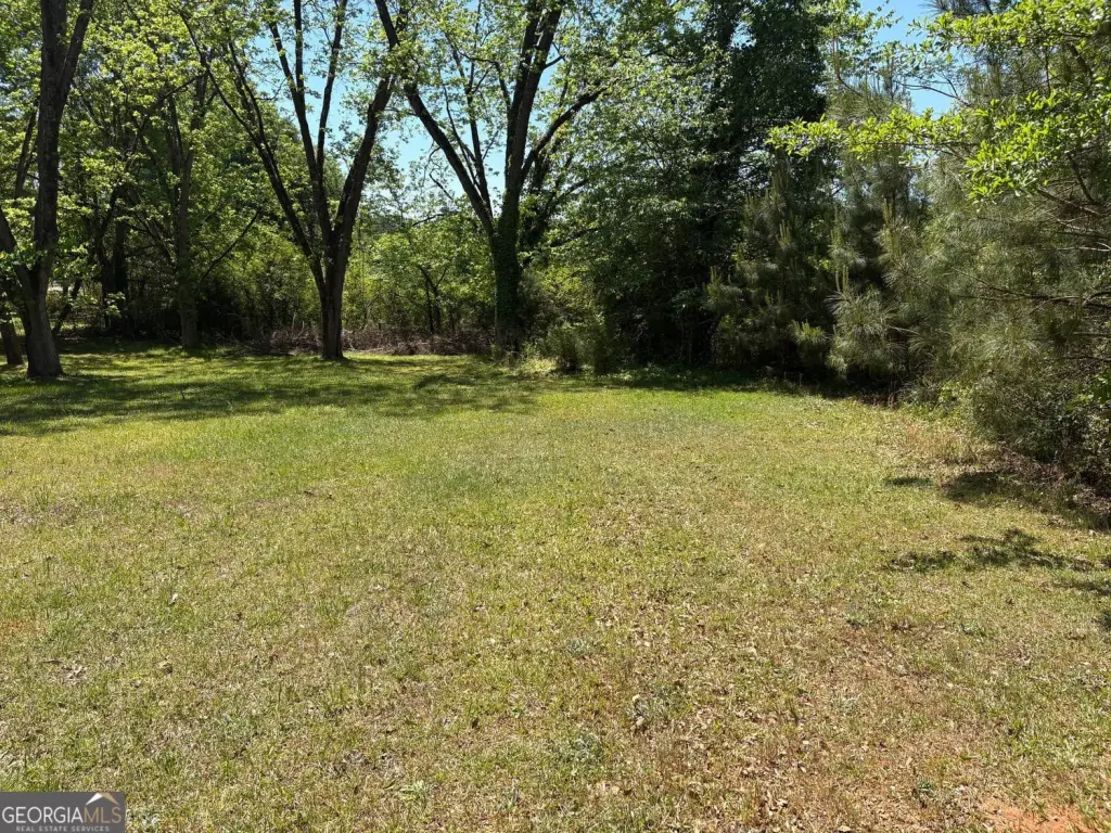 Picture 11