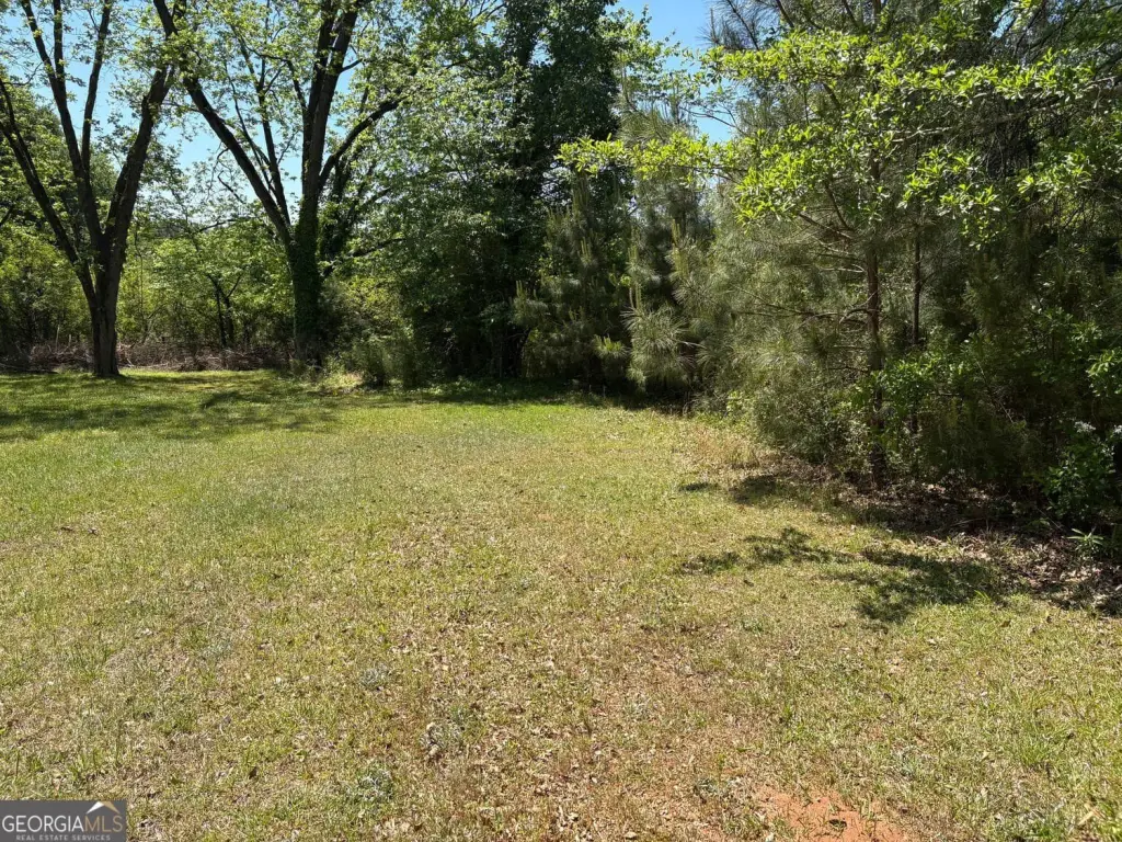 Picture 12