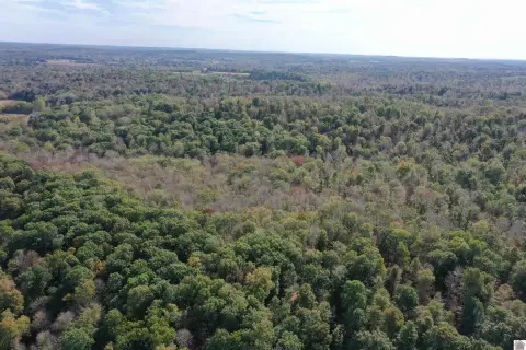 112.71 Acres in Princeton, KY