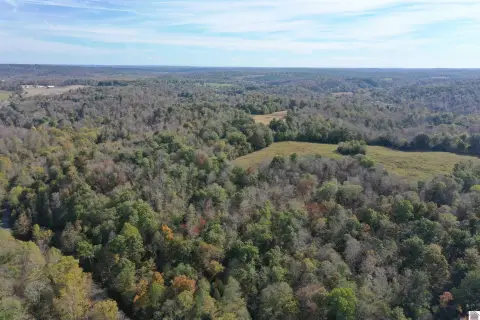 81.79 Acres in Princeton, KY