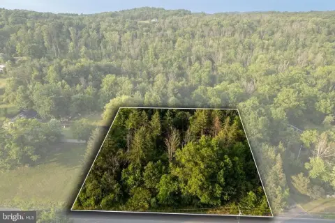 SASSAMANSVILLE Land For Sale