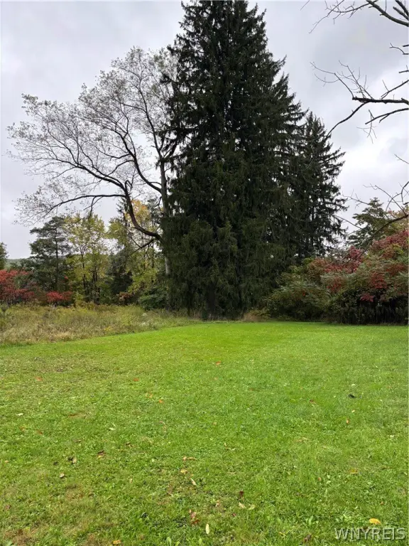 Picture 5