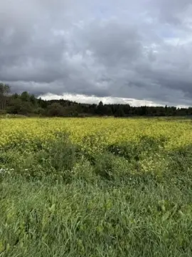 Tillable Agricultural Land