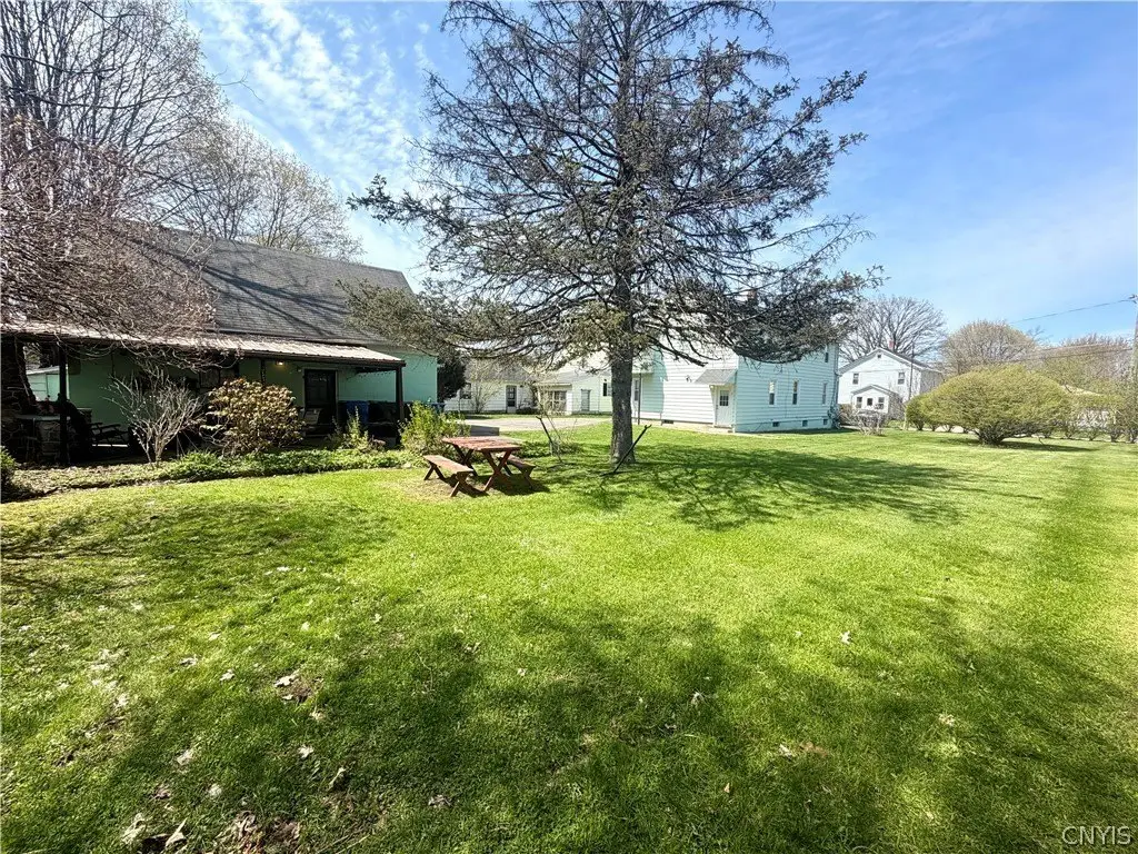 Picture 19