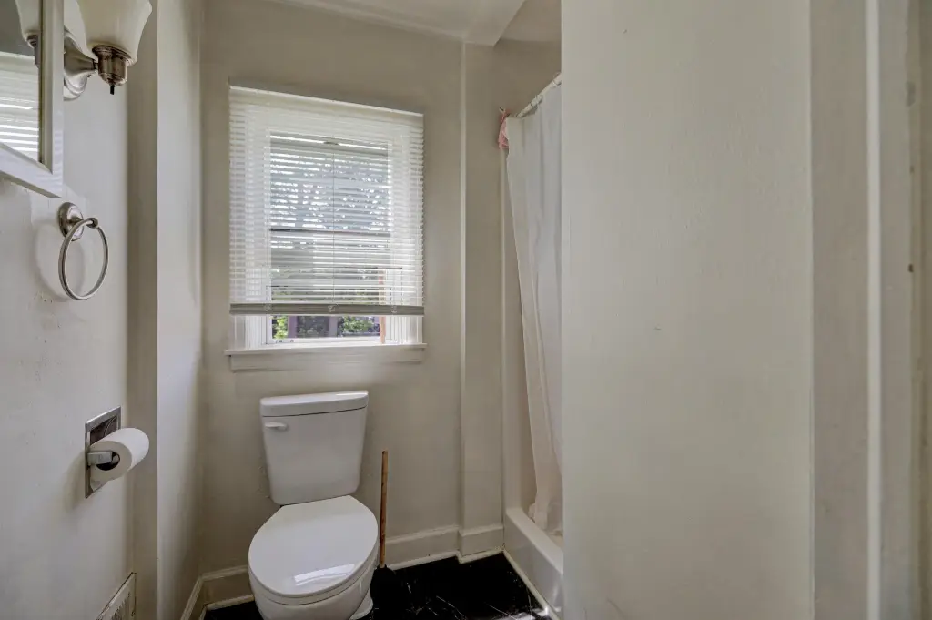Picture 36