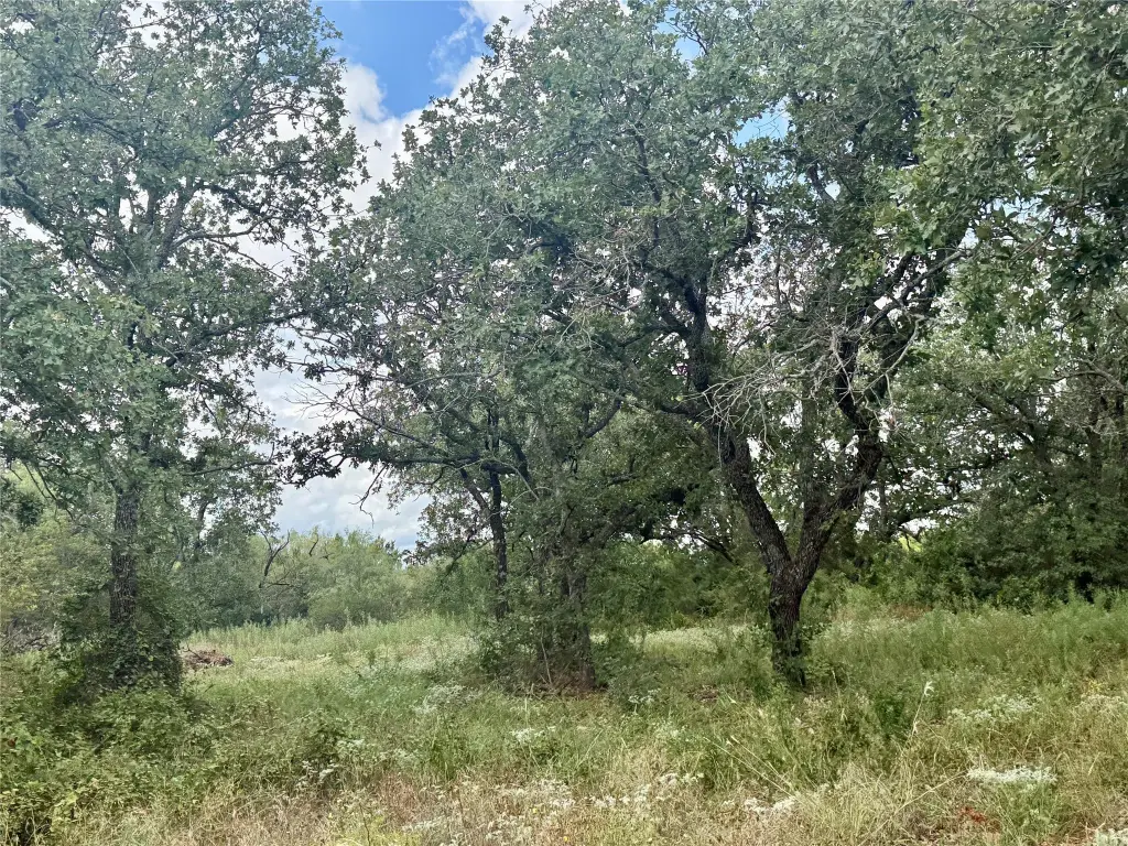 Picture 23