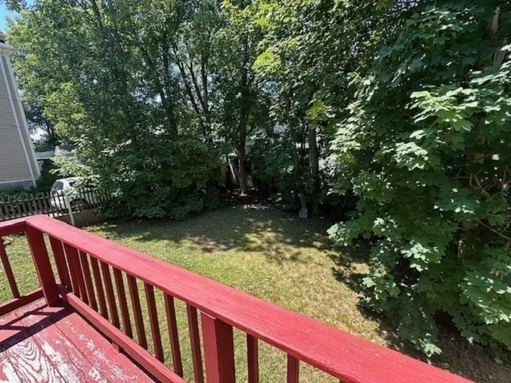 Picture 25