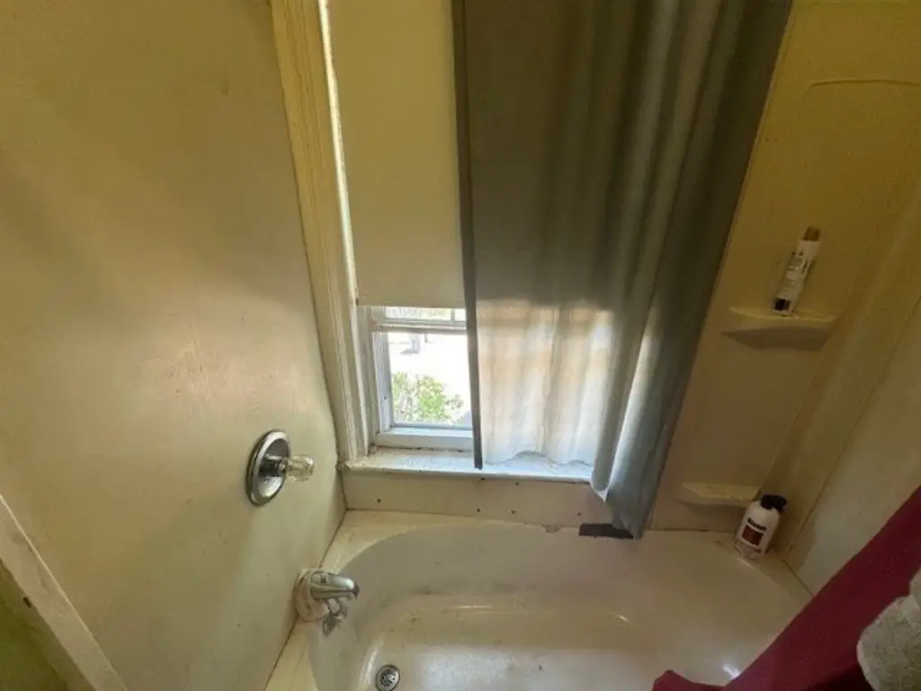 Picture 17