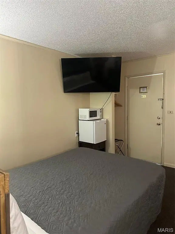 Picture 12