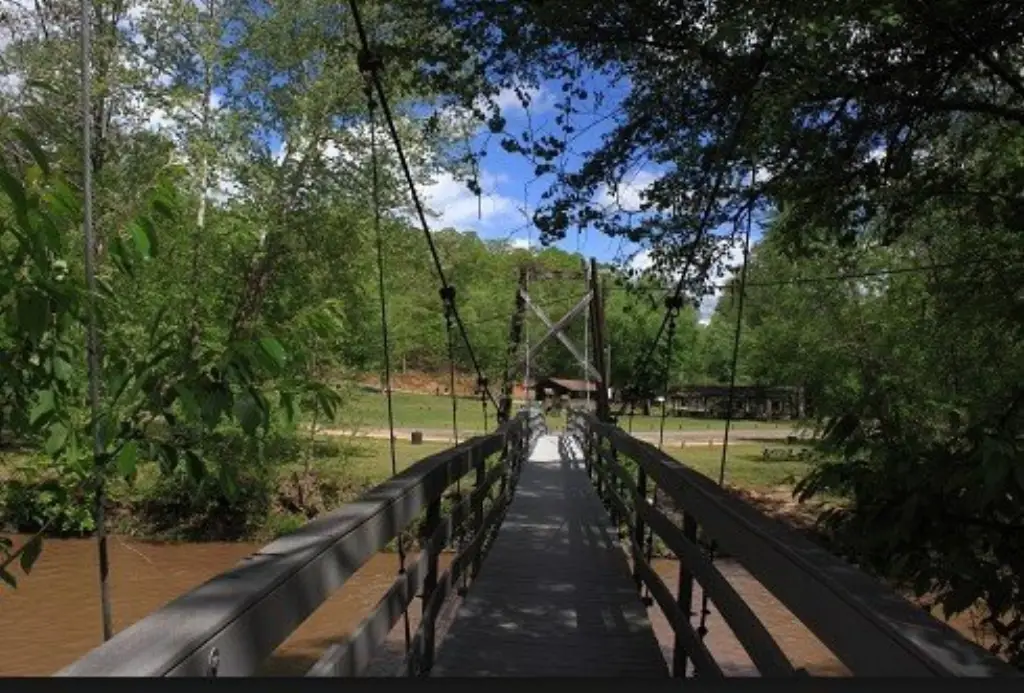 Picture 16