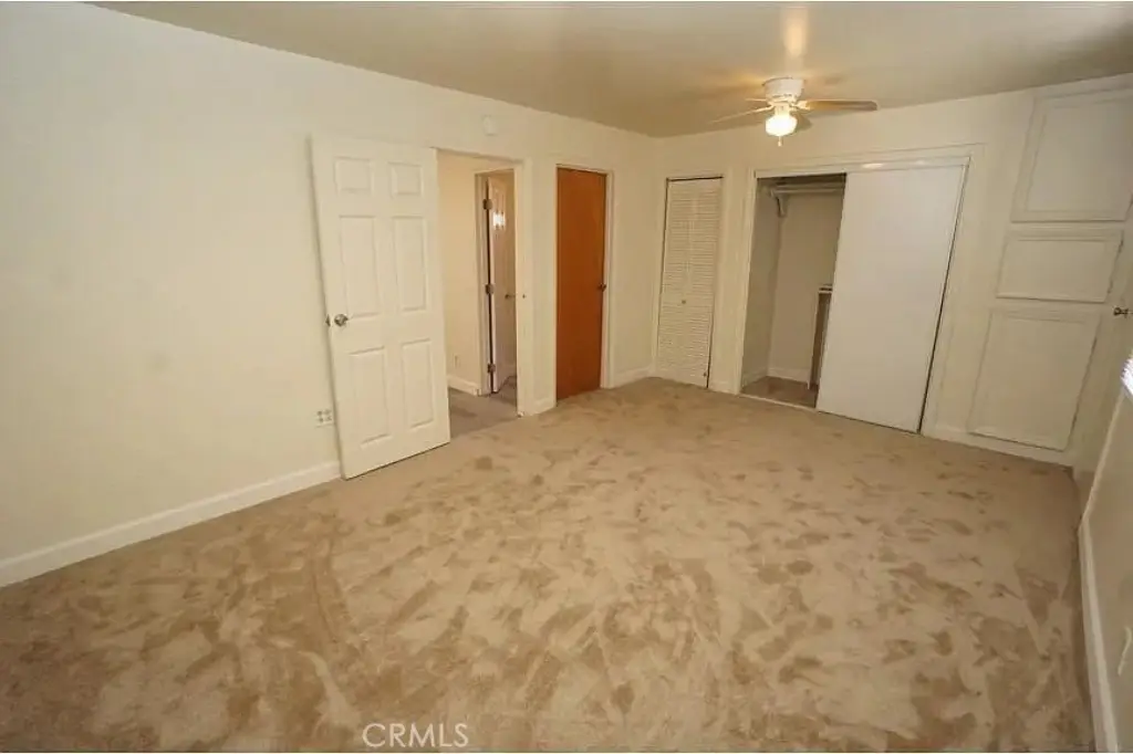 Picture 27