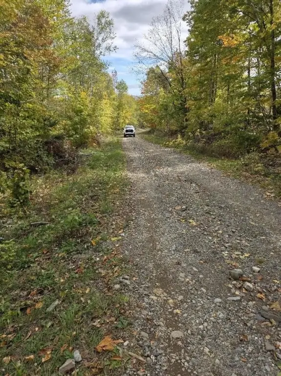 Picture 11
