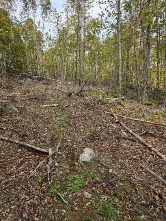 Picture 10