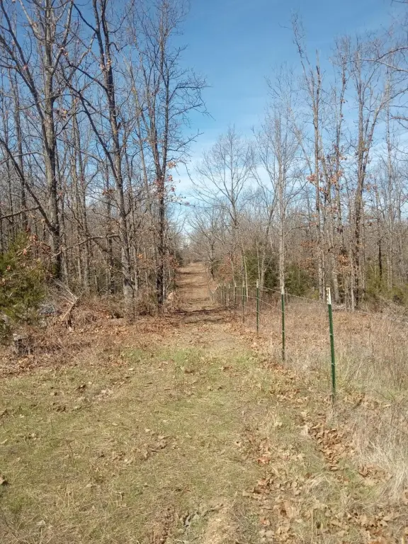 Picture 17