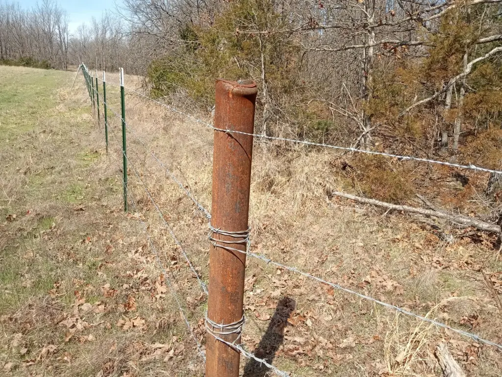 Picture 16