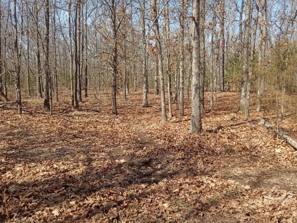 Picture 18