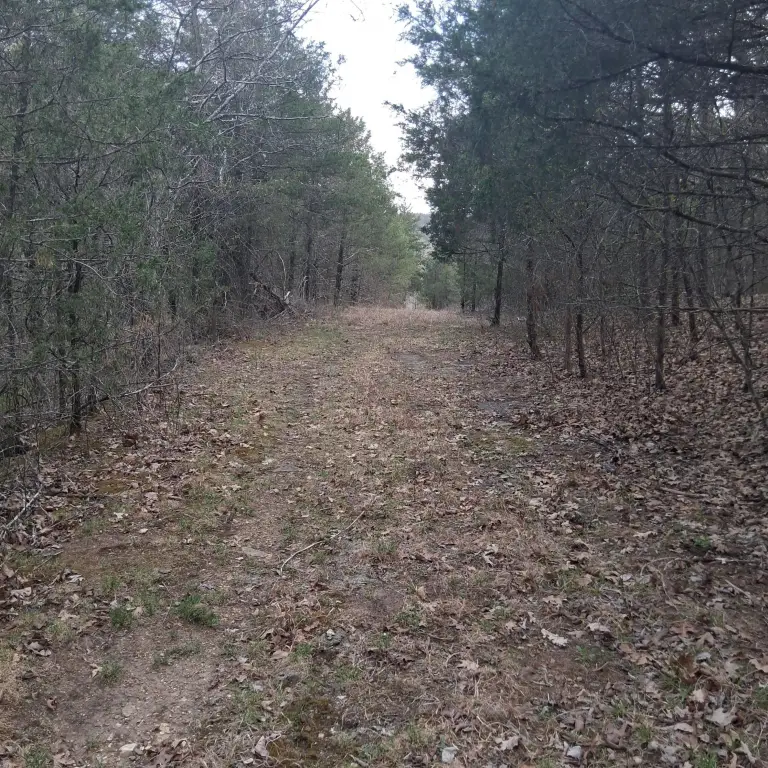 Picture 6