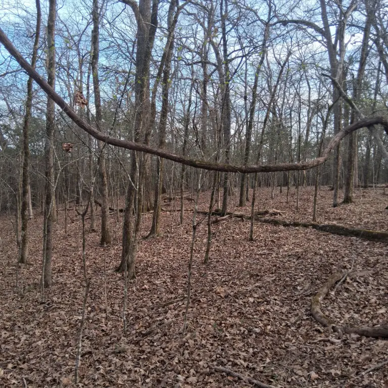 Picture 4