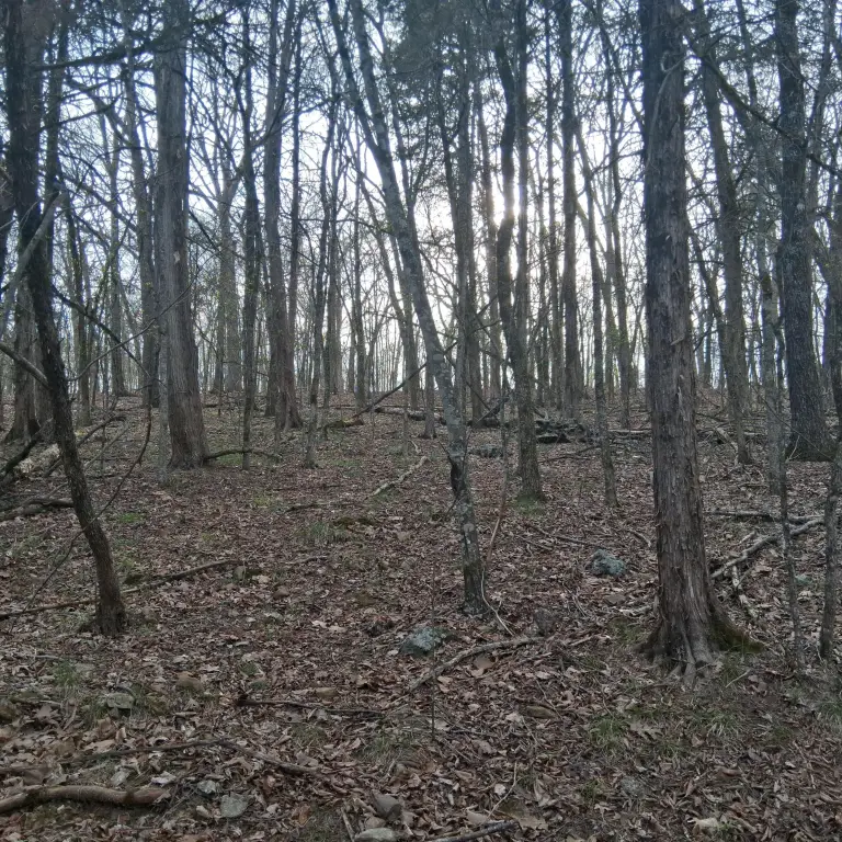 Picture 5