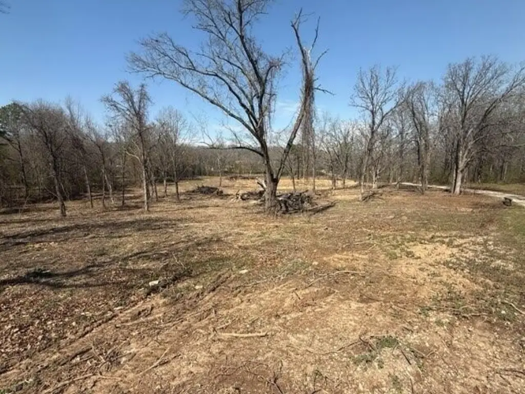 Picture 2
