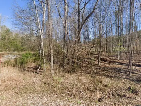 Wooded Rural Land