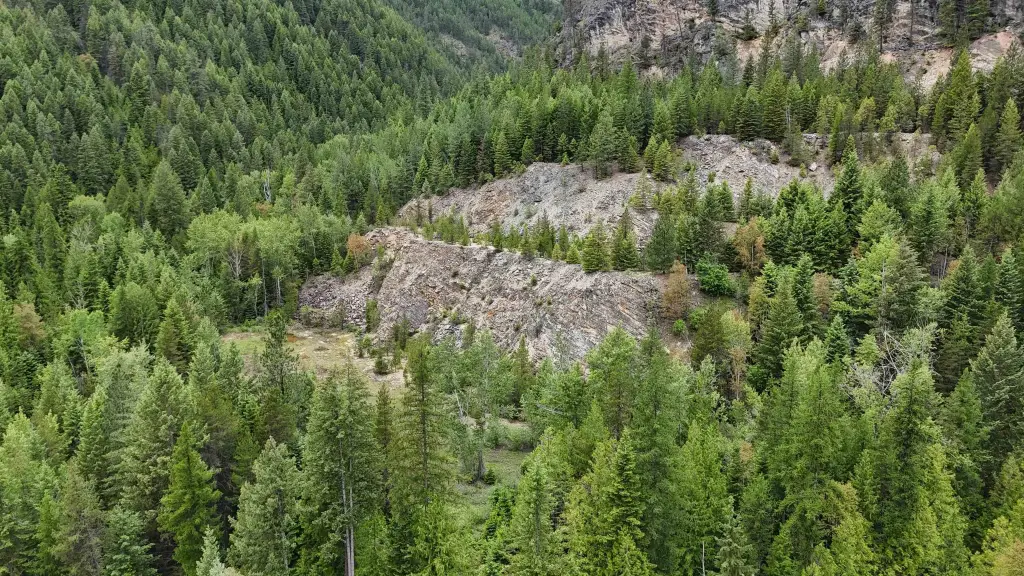 Picture 11