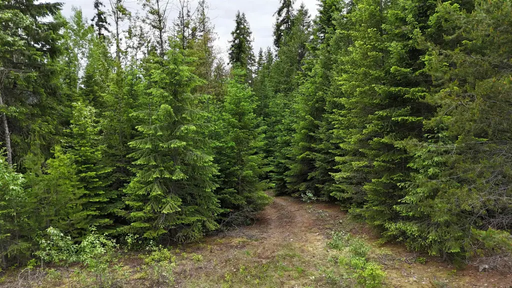 Picture 25