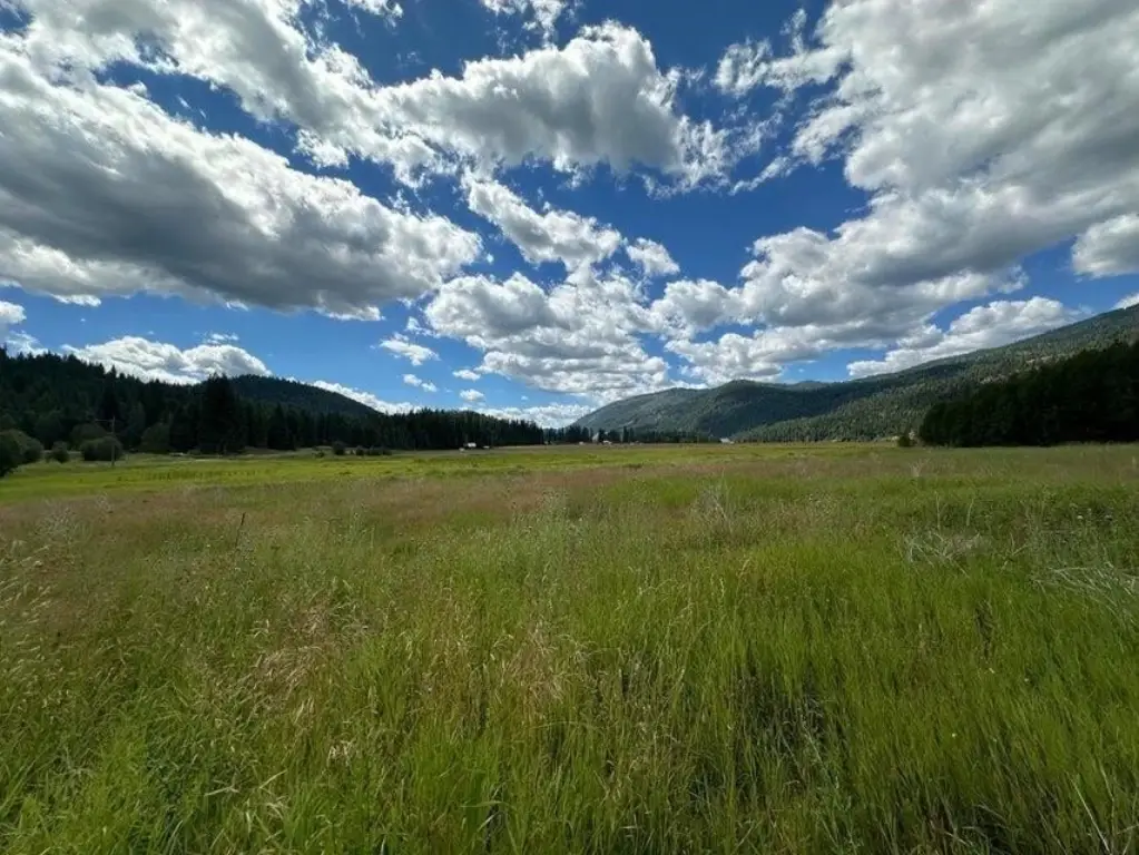 Picture 19