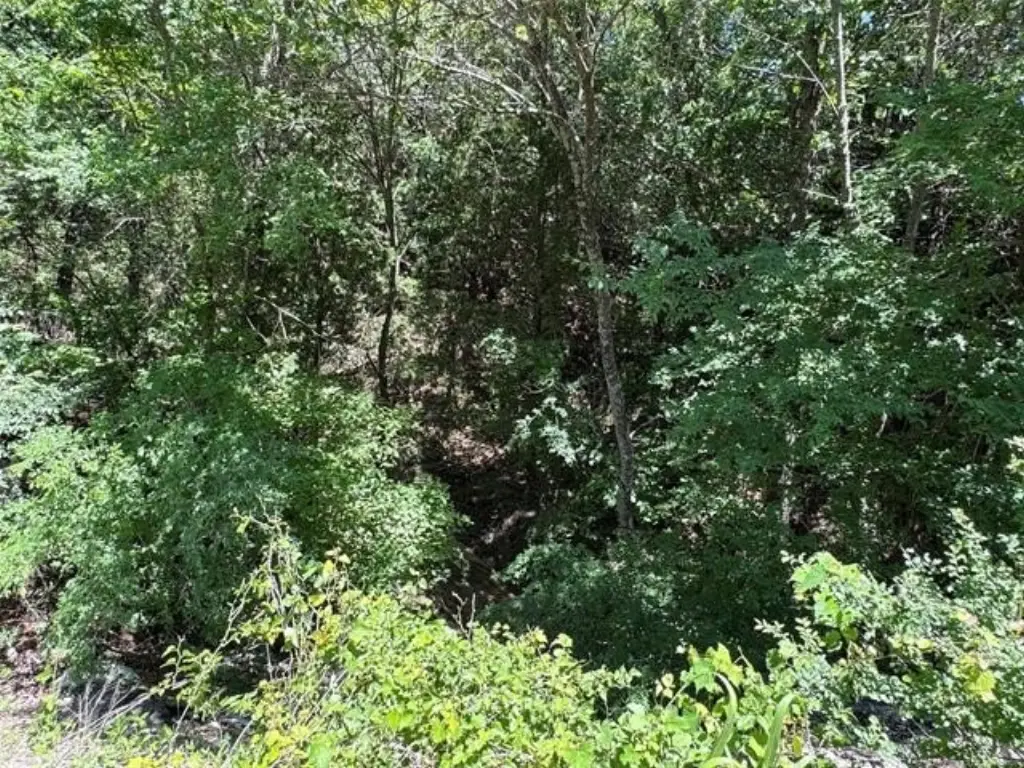 Picture 23