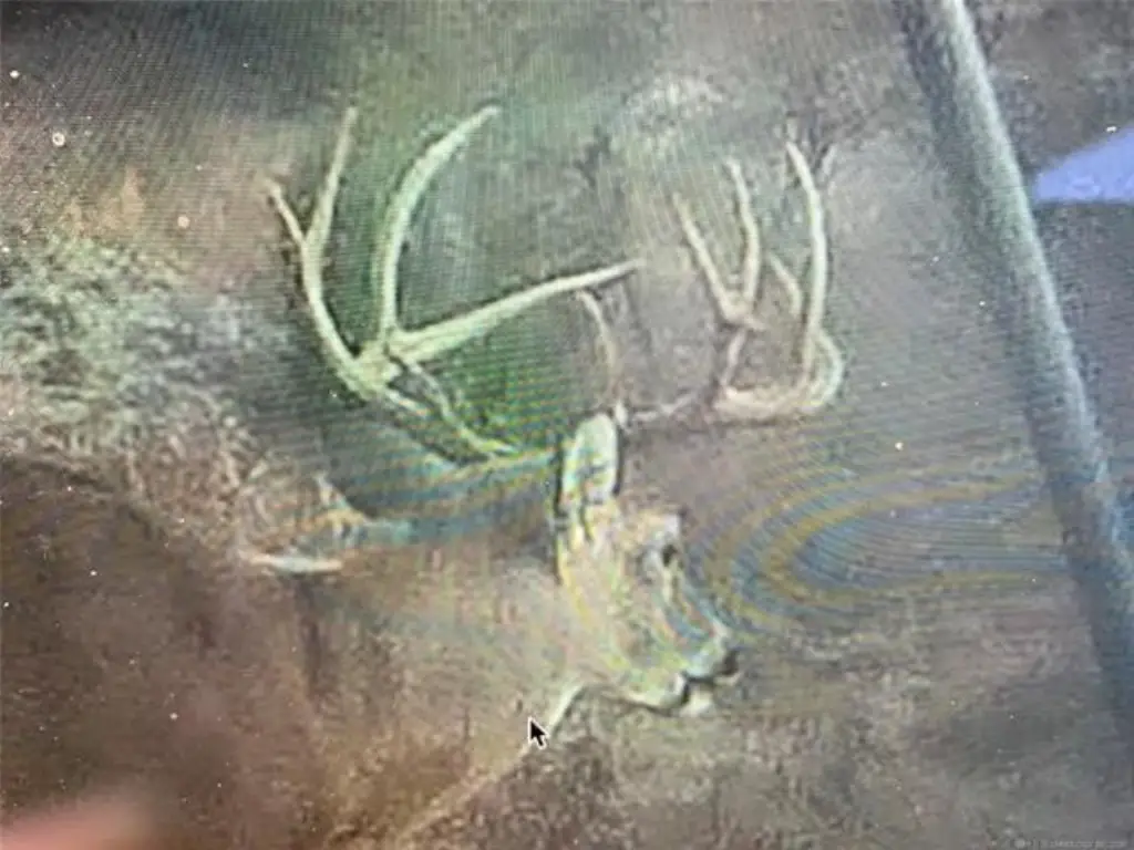 Picture 12