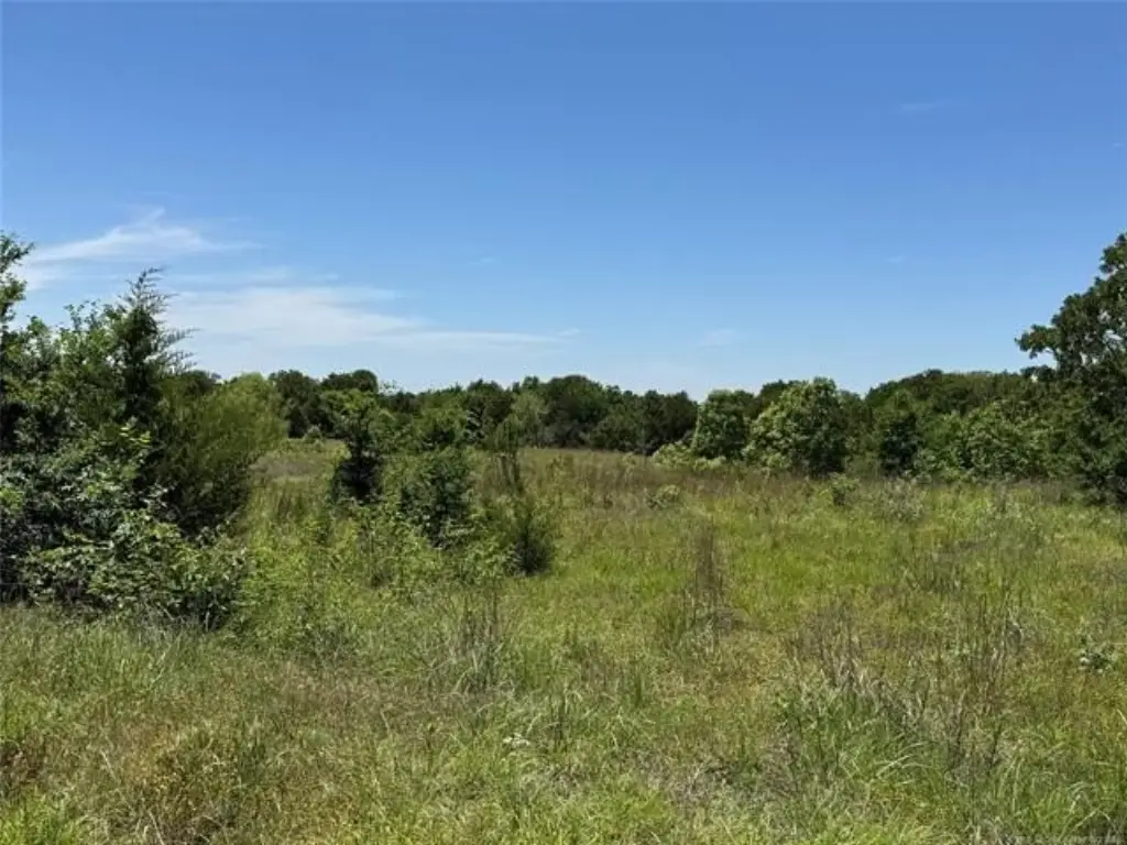 Picture 28