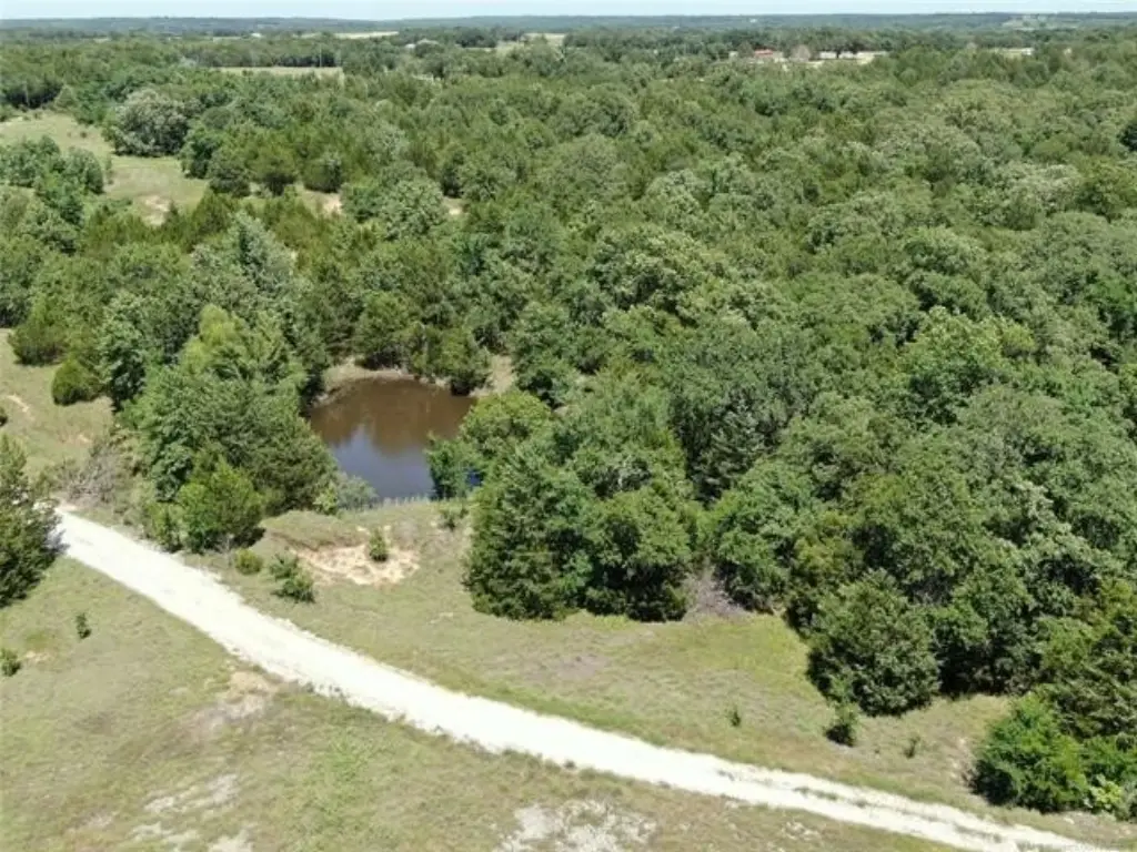 Picture 13