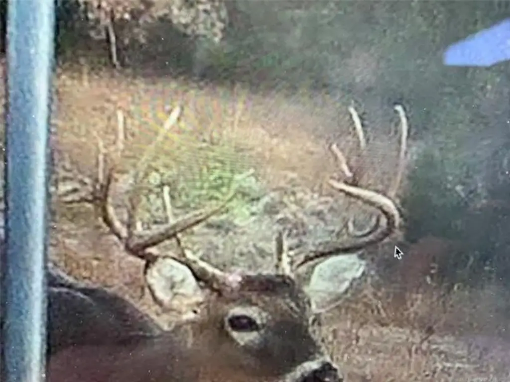 Picture 11