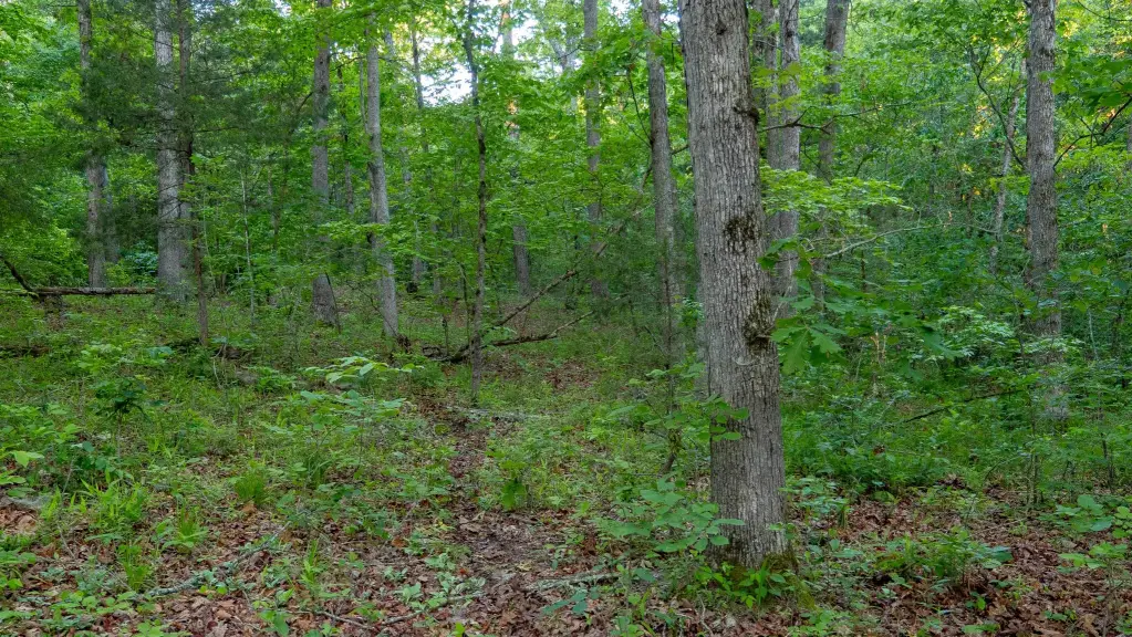 Picture 24