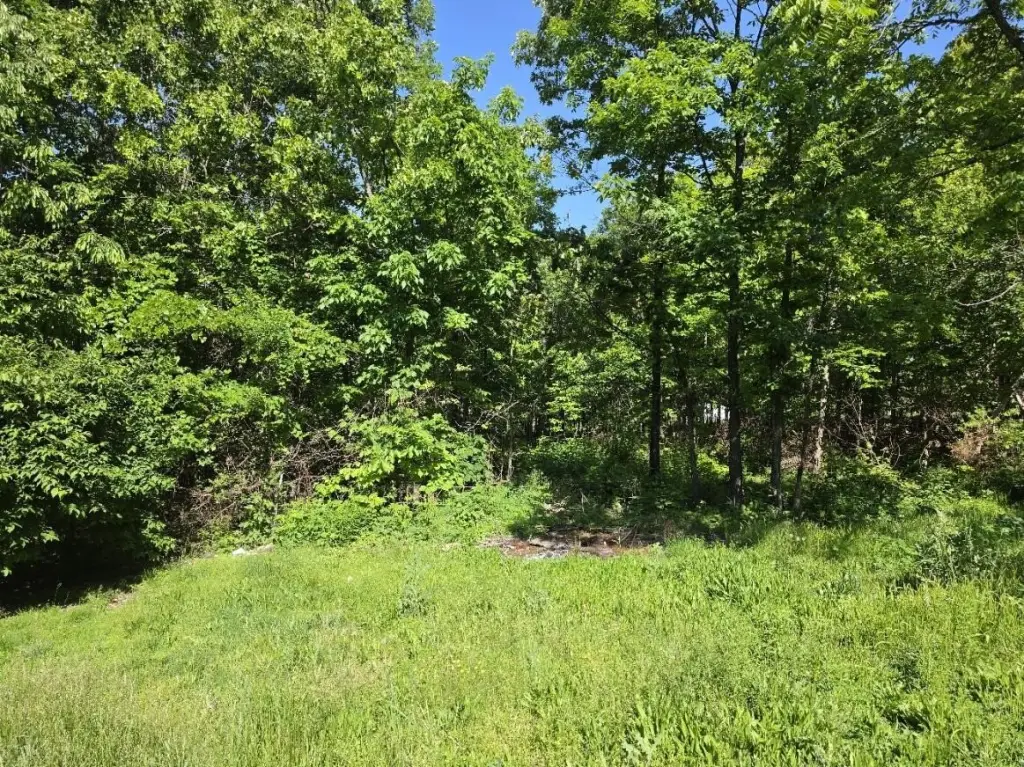 Picture 2