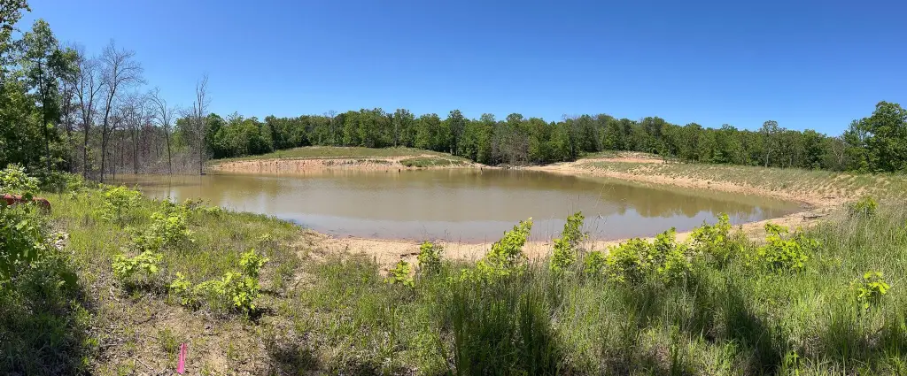 Picture 21