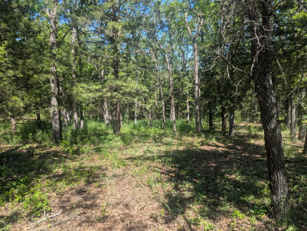 Picture 3
