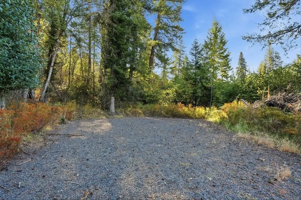 Picture 23