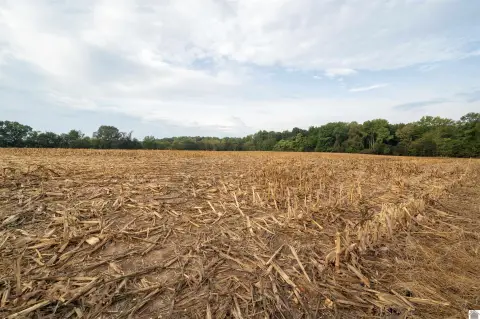 Picture of Farms at State Line Rd East 00, Hazel, KY