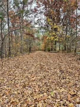 Kentucky Lake Development Opportunity