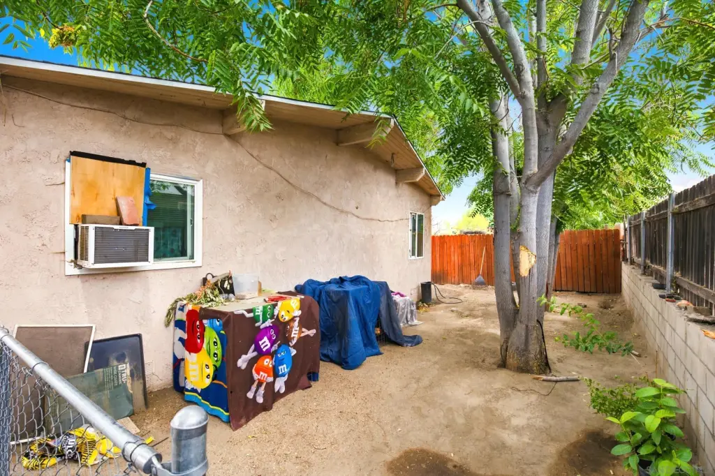 Picture 24