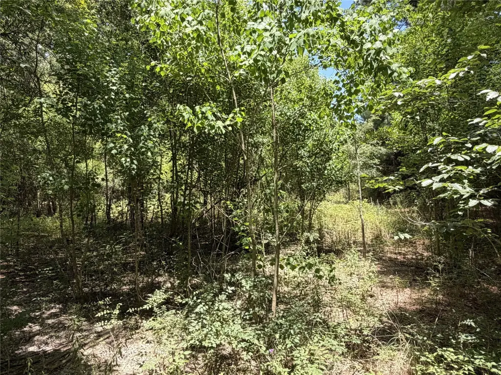 Picture 18