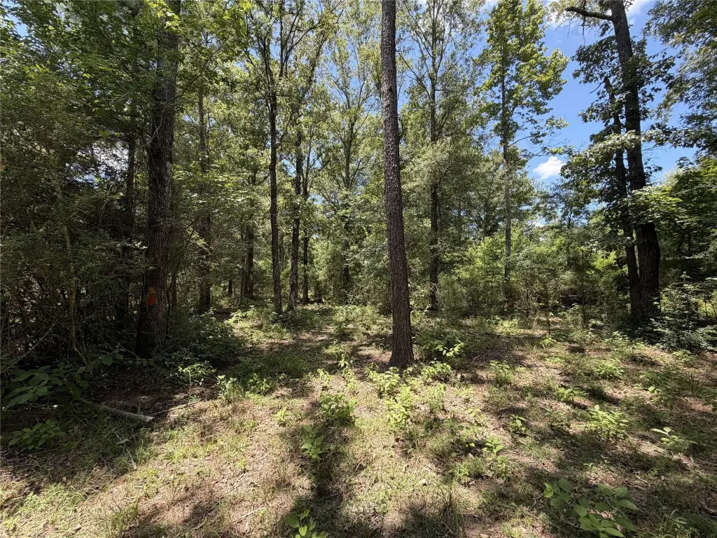 Picture 16