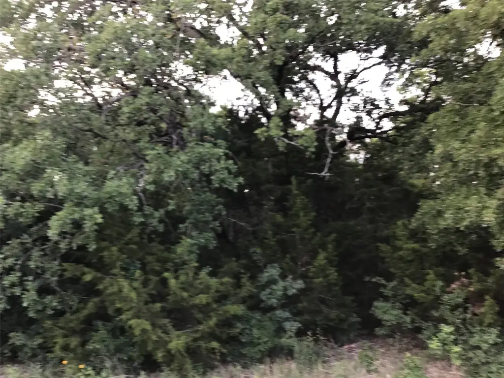 Picture 3